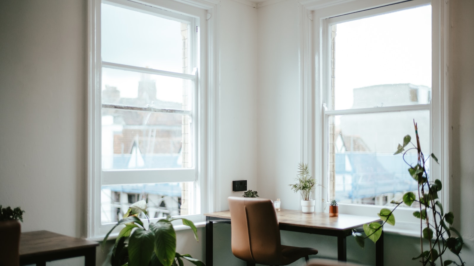 Two empty office chairs beside a window