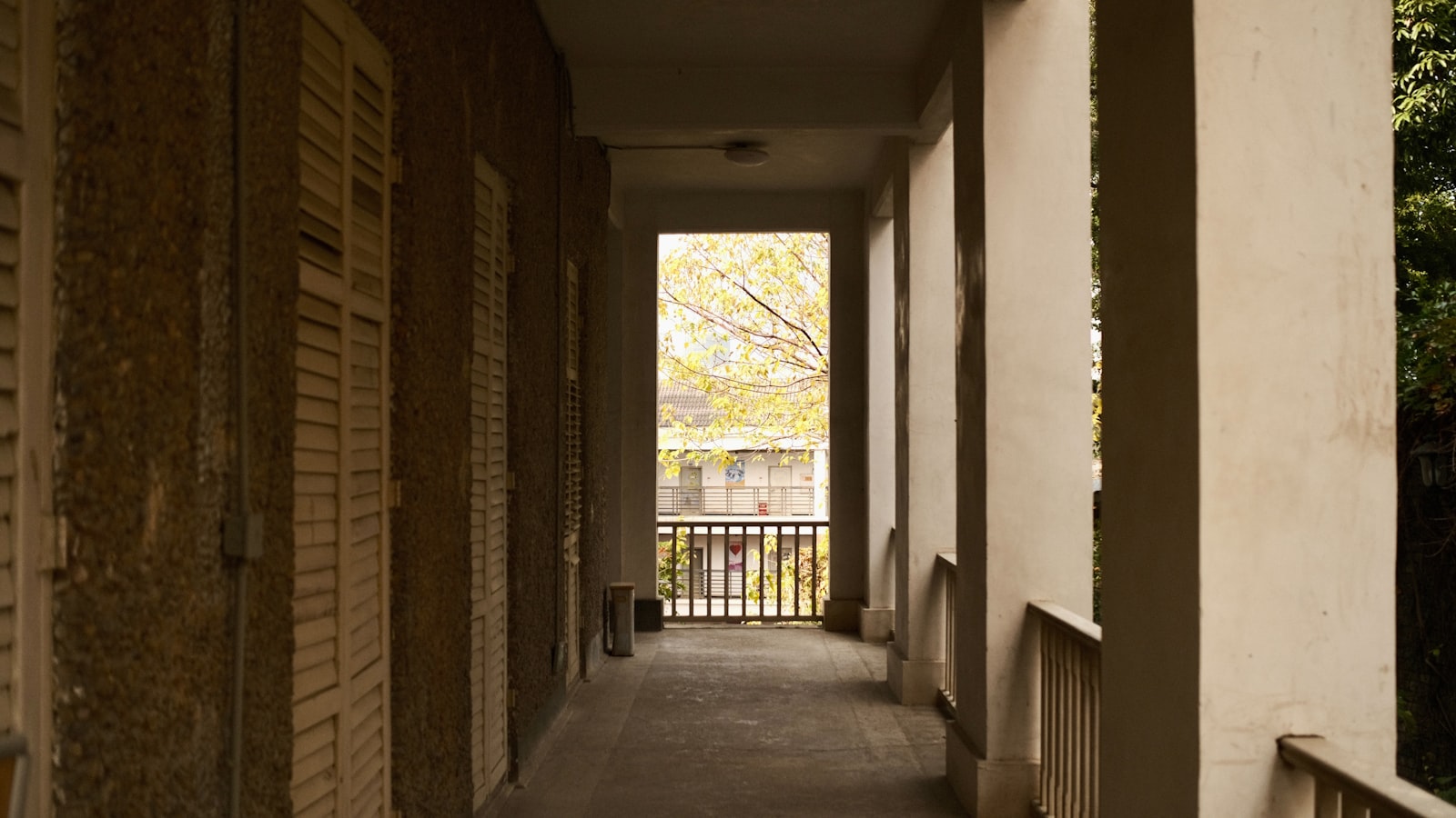 A corridor with two separate apartment front doors