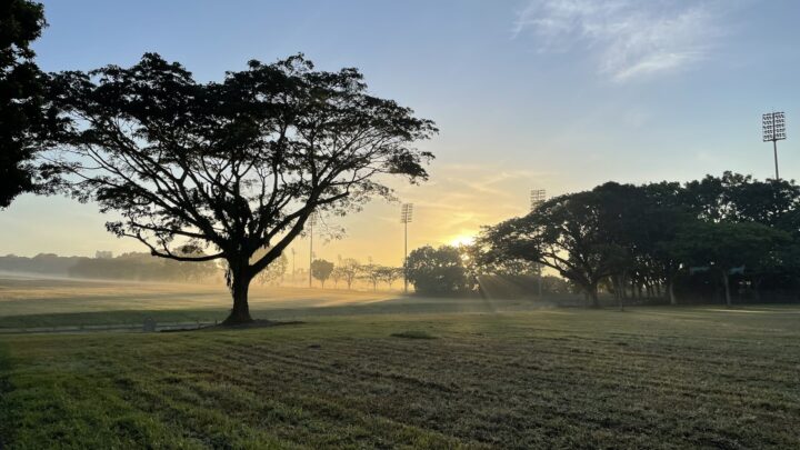 A quiet golf course fairway in early morning light
