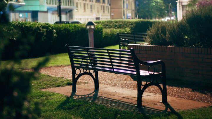 An empty wooden bench in a quiet park at dusk