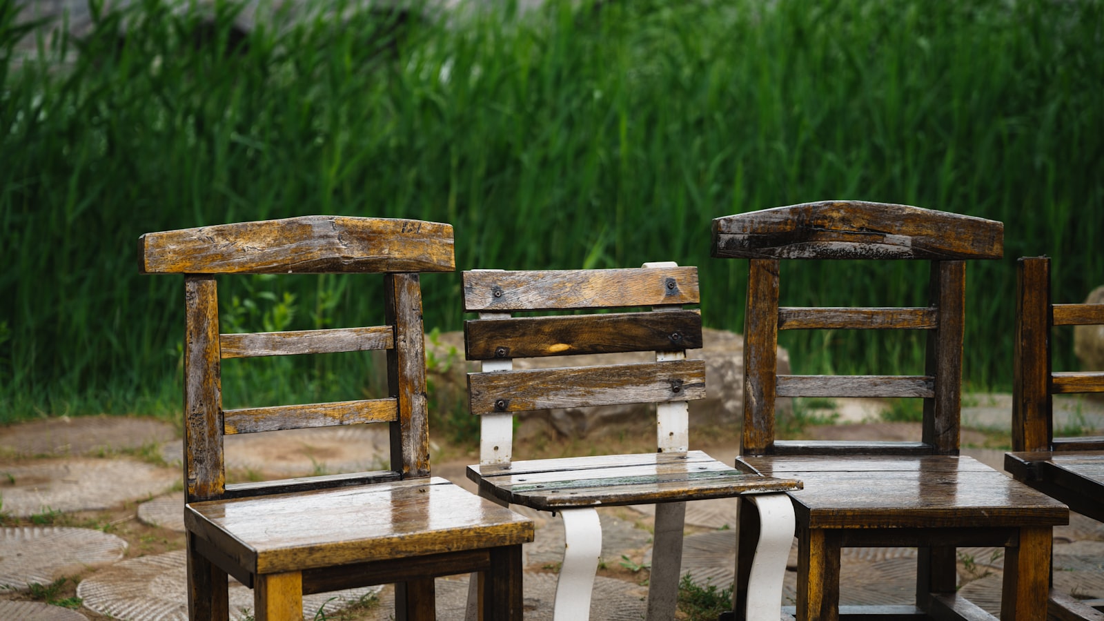 Rows of empty wooden chairs set out for a ceremony