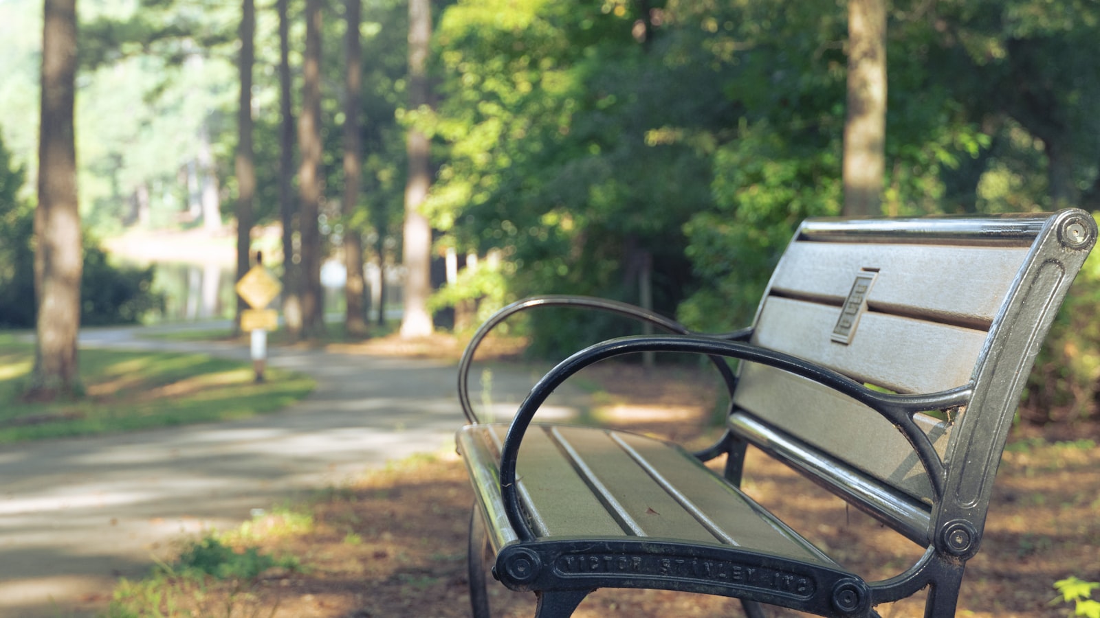 An empty park bench beneath trees