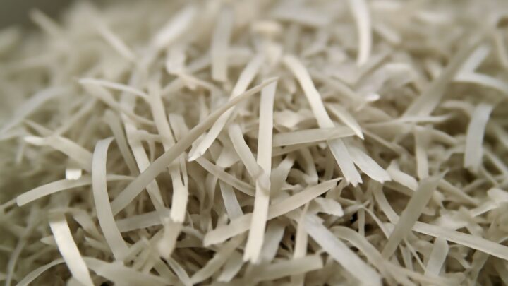 A close-up of shredded paper strips