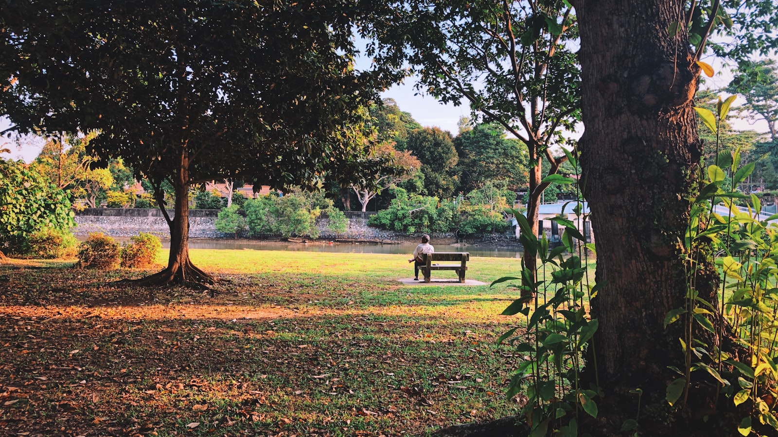 An empty wooden bench in a quiet park at first light