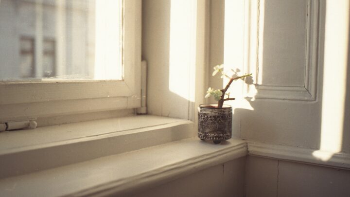 An armchair beside a window in soft daylight