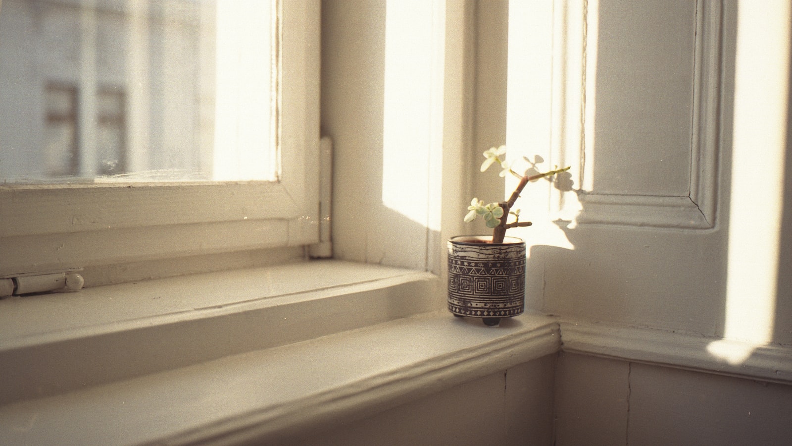 An armchair beside a window in soft daylight