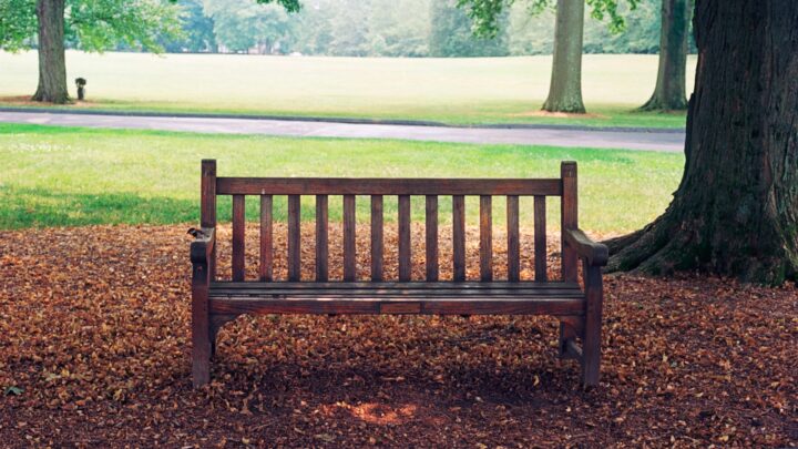 An empty wooden bench in a quiet park