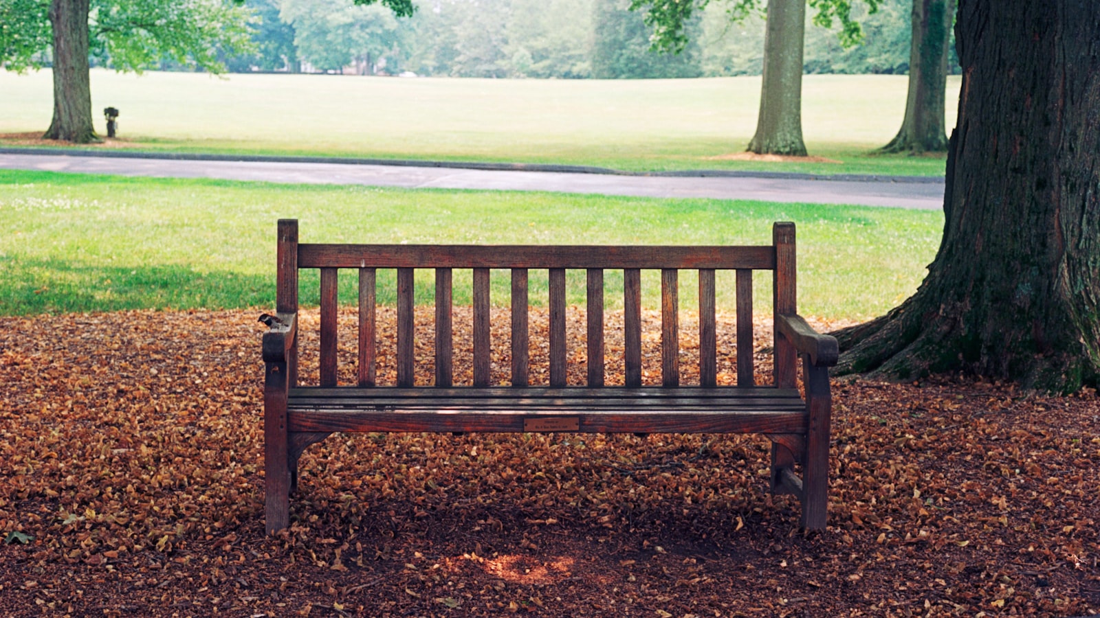 An empty wooden bench in a quiet park